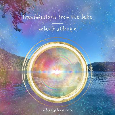 US Election Support + Perspectives