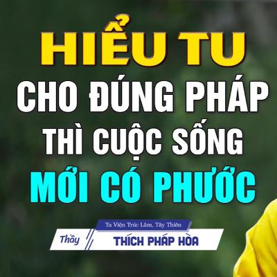 TU quan trọng ra sao mà phải hiểu cho ĐÚNG - Thầy Thích Pháp Hòa