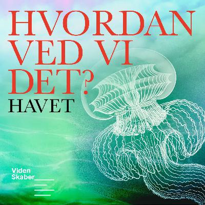 At leve med havet