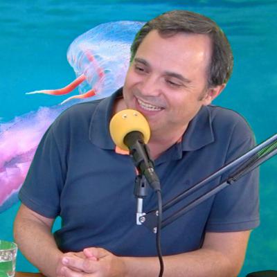 Ep. 348 - Voltar ao trabalho, PALCOMÉDIA e águas-vivas!