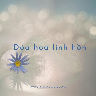 Đoá hoa linh hồn Đoá hoa linh hồn