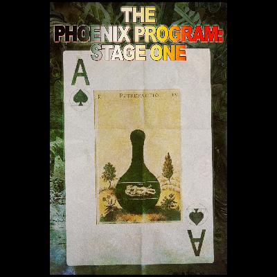 The Phoenix Program: Stage One
