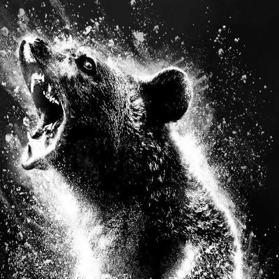 Cocaine Bear