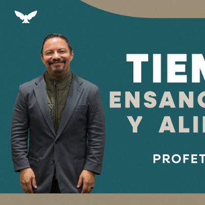 Tiempo de ensanchamiento y alineamiento ¦ Profeta Ricardo Herrera