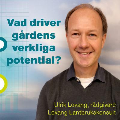Hur når det gröna företaget sin verkliga potential?