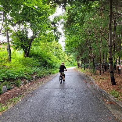 What's On Our Desk? What's On Our Desk?