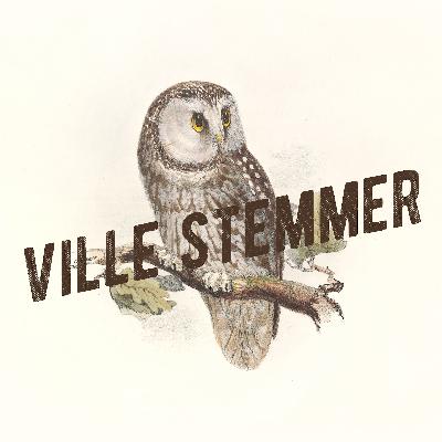 På jakt etter naturskogen