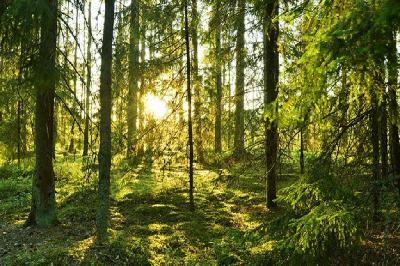 Føl fred med dig selv (meditation)