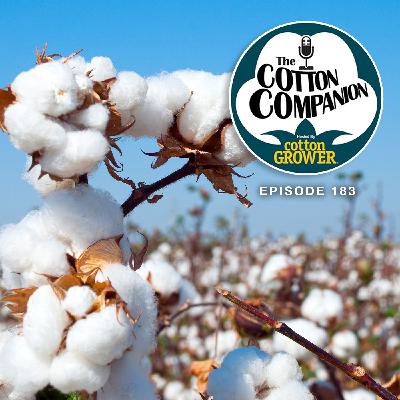 Observations from the Mid-South Farm & Gin Show