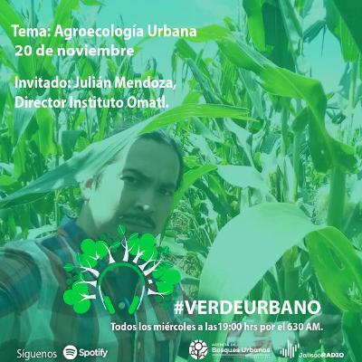 18. AGROECOLOGIA URBANA/ JULIAN MENDOZA/ 20 NOV 2020 18. AGROECOLOGIA URBANA/ JULIAN MENDOZA/ 20 NOV 2020