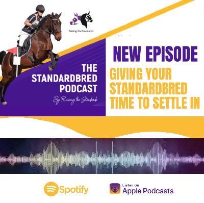 The Gift of Time for your Standardbred