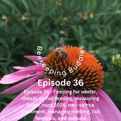 Episode 36 - Feeding for winter, details on fall feeding, measuring hives, nucs 2026, new varroa treatment, managing robbing, fall festivals, and cutouts