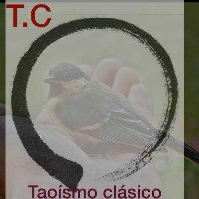 Los 3 tesoros, tertulia. Taoísmo clásico.T2: cap.16