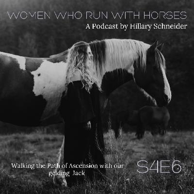 Walking the Path of Ascension with our Gelding Jack. Walking the Path of Ascension with our Gelding Jack.