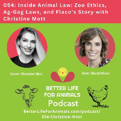 054: Inside Animal Law: Zoo Ethics, Ag-Gag Laws, and Flaco's Story with Christine Mott