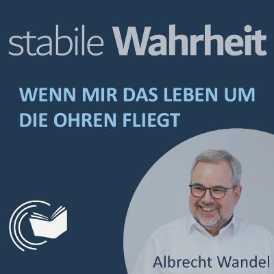 Wenn mir das Leben um die Ohren fliegt - Albrecht Wandel