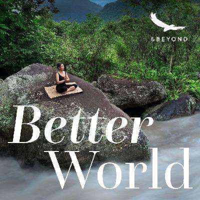 A journey into healing