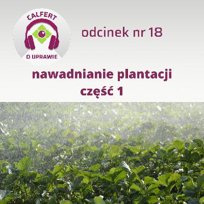 18. Jak skutecznie nawadniać plantację? Część 1