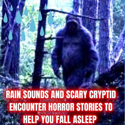 Rain Sounds And Scary Cryptid Encounter Horror Stories To Help You Fall Asleep