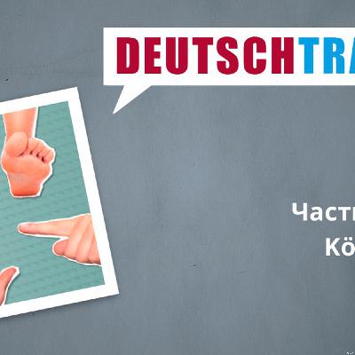 Deutschtrainer – 37 Частини тіла