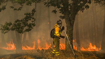 El año 2025 es el peor de incendios desde que existen registros