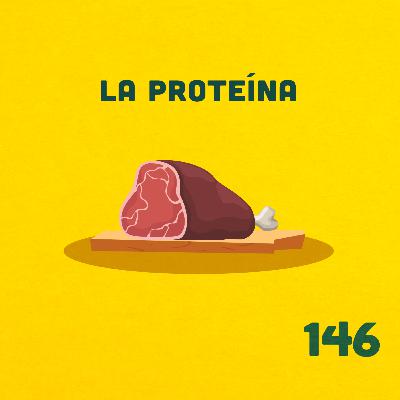 146. ¿De verdad necesitamos tanta proteína? ft. Jesús
