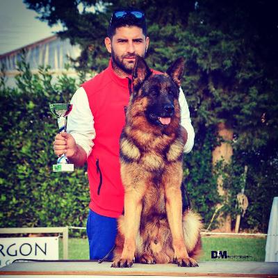 Γερμανικός Ποιμενικός - German Shepherd από τον Εκτροφέα Αρτίν Ανδρέα Κασαπιάν