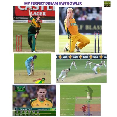 My Perfect Dream Fast Bowler