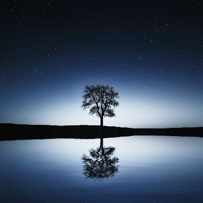 V-5-3. 괴로움의 소멸의 성스러운 진리[滅聖諦]