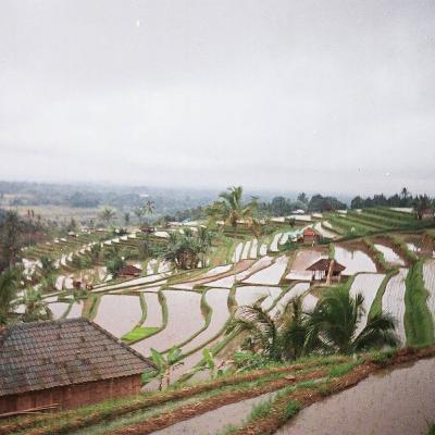 【寄り道談話】バリと江の川