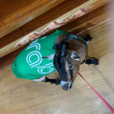 北京遇上泰兰德，工作旅行皆可从从容容游刃有余