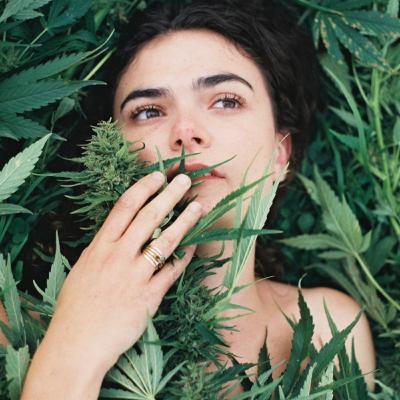 Cannabis: The Healing of the Nation