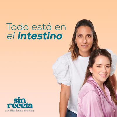 05. Todo está en el intestino