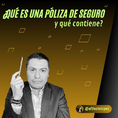 ¿Qué es una póliza de seguro y qué contiene?