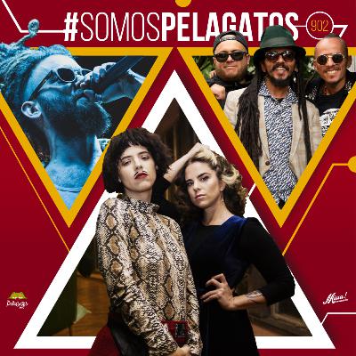 SomosPelaGatos 902 - Perotá Chingó, Alerta Kamarada y Hermanos del Ghetto - Reggae en PelaGatos SomosPelaGatos 902 - Perotá Chingó, Alerta Kamarada y Hermanos del Ghetto - Reggae en PelaGatos