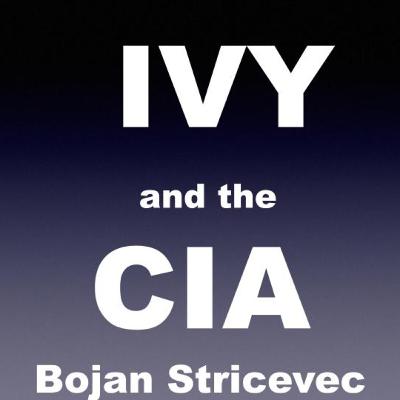 Interview with Bojan Stricevic