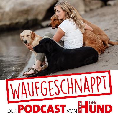 Emotionen im Hundetraining - Kristina Räder