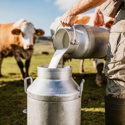 New milk season starts with a dip in production