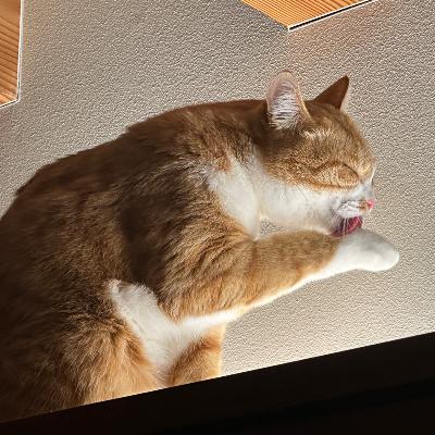 #1426 マリウポリの20日間 from Radiotalk #1426 マリウポリの20日間 from Radiotalk