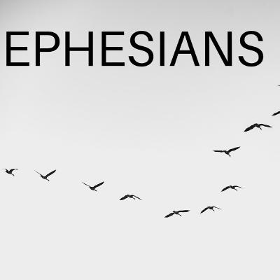 Riches Of Grace Ephesians 1:1-23 	Shane Wildermoth