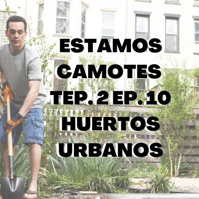 🍎🥕HUERTOS URBANOS 🍎🥕ESTAMOS CAMOTES TEMP. 2 EP. 10