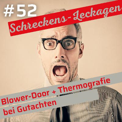 Blower-Door & Thermographie – Schockierende Leckage-Funde