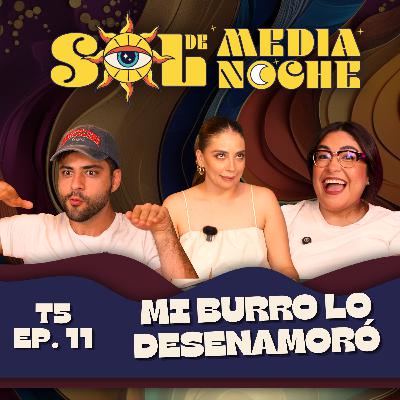 T5 | EP 11 | Mi burro lo desenamoró