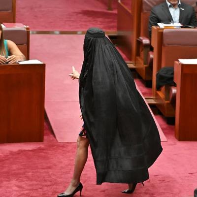 Burqa stunt fallout sees Hanson censured by Senate