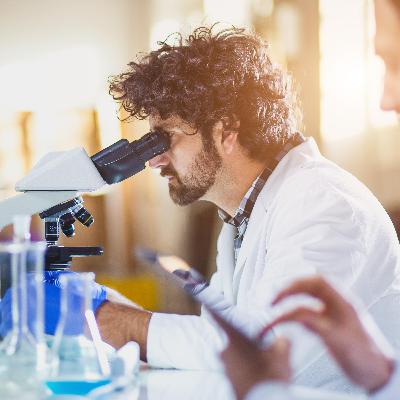 Oltre il gene Oltre il gene