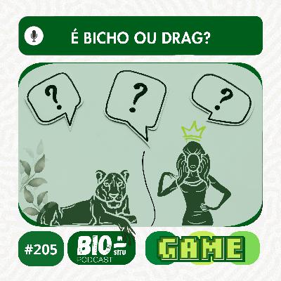 205 - É bicho ou drag? 205 - É bicho ou drag?