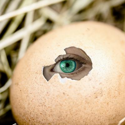 Le Vécu d’un Seul Instant