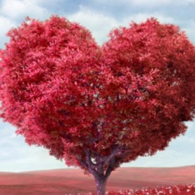 Bible Study | With Evangelist Jennifer C. Stovall | The Matters of The Heart ❤️ Part 1