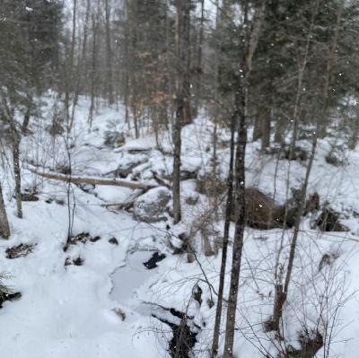 Gurgling stream at ‘Gossip’s Corner’, Gatineau Park, Quebec, Canada on 22nd December 2025 – by Laura Nerenberg Gurgling stream at ‘Gossip’s Corner’, Gatineau Park, Quebec, Canada on 22nd December 2025 – by Laura Nerenberg