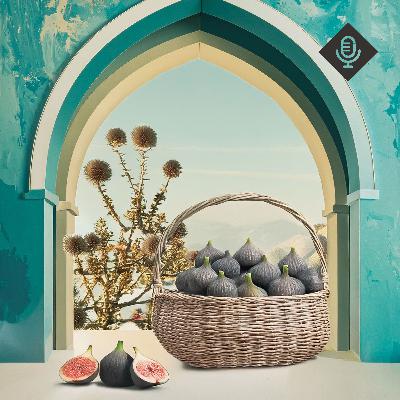 Figs or Thistles?